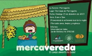 Mercavereda10Diciembre15