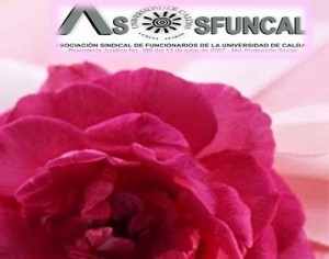 dia de la mujer (1)2016