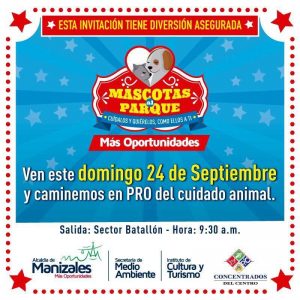 WhatsApp Image 2017-09-15 at 10.20.55 AM