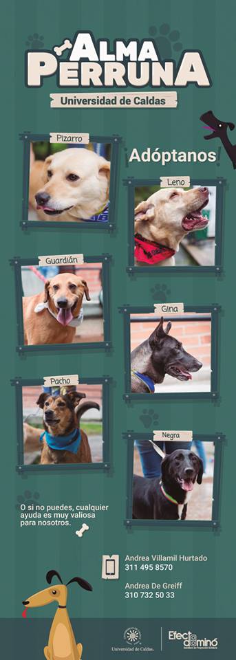 41162347_268012983820267_1369024454847365120_n