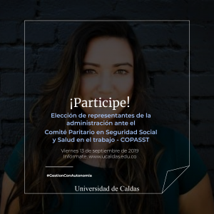 EleccionesCopasst 2019