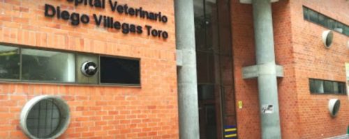 Hospital Veterinario Diego Villegas Toro reabre sus puertas