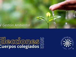 Imagen que muestra una planta y una mano con el texto de cuerpos colegiados