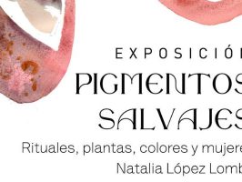 Imagen que contiene el texto de exposición de pigmentos salvajes