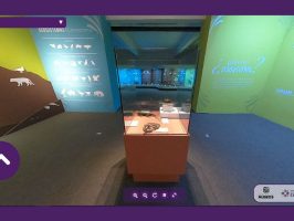 Muestra virtual de museo de la Universidad de Caldas