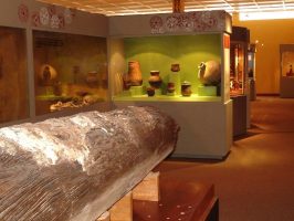 Imagen dentro del museo de la universidad de Caldas