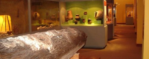 Imagen dentro del museo de la universidad de Caldas