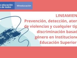Brochure de los lineamientos del ministerio de educación