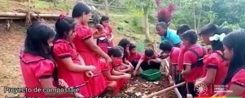 proyecto de compostaje con indigenas