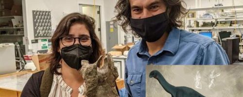 Estudiantes y funcionarios con un fósil de dinosaurio