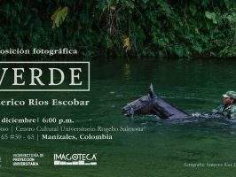 Brochure de expo verde