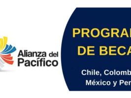 becas movilidad