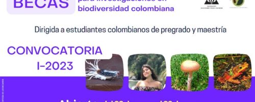 becas colombia biodiversa