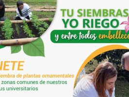 campaña tu siembras yo riego y entre todos embellecemos.