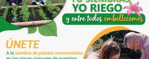 campaña tu siembras yo riego y entre todos embellecemos.