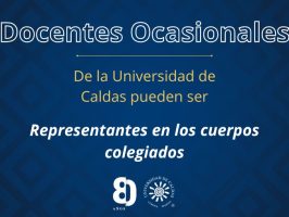 participación de docentes ocasionales como representantes en los cuerpos colegiados