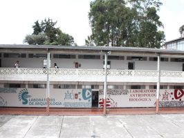 Murales de arqueología y antropología biológica