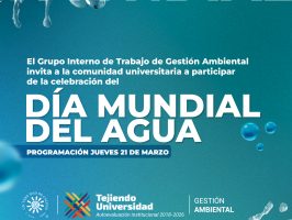 celebración dia del agua