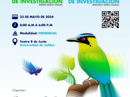 semilleros de investigación