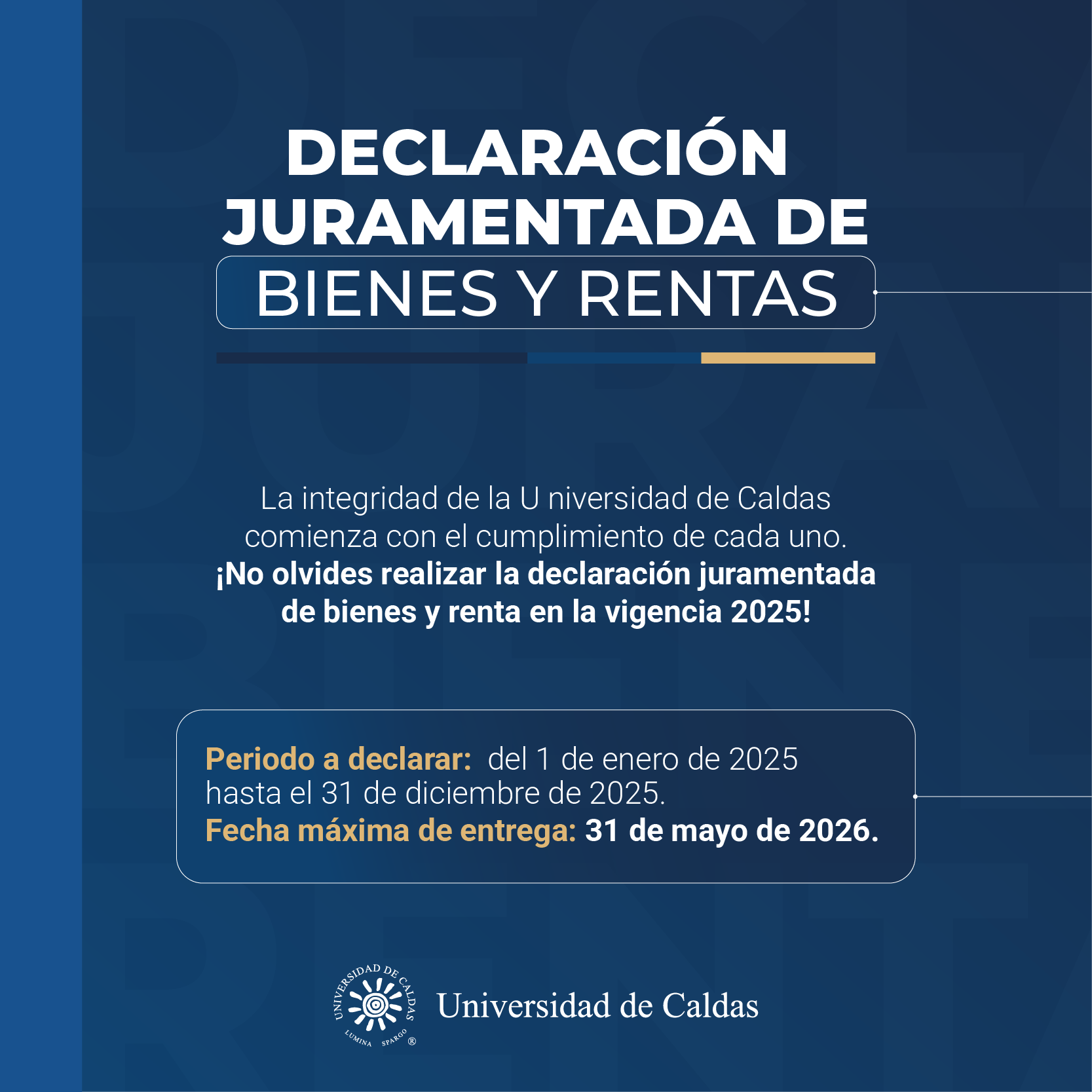 Descripción de la imagen